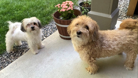 Review what repetitions have done to help turn small changes into positive habits...