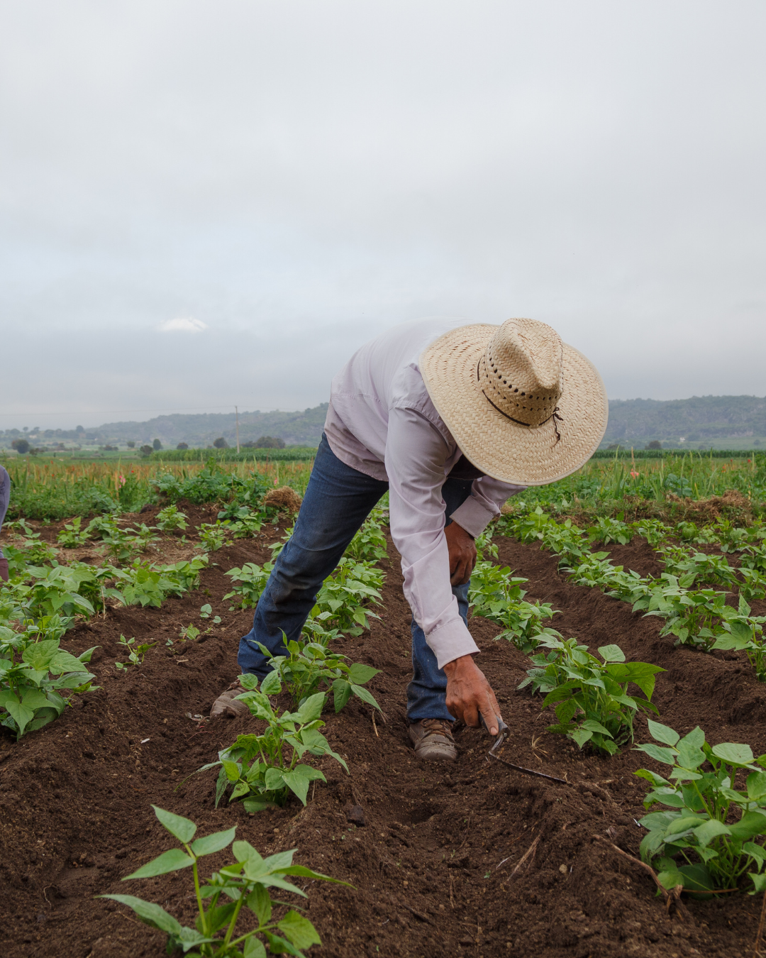 How the Right Language Can Help You Make the Shift!